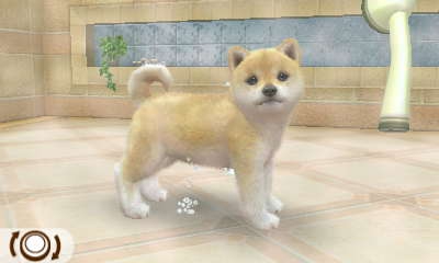 photos de ma 3ds - photo 2