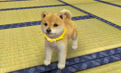 photos de ma 3ds - photo 3