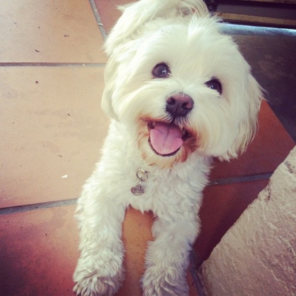 Quelle est votre star prfer? (Qu'une seule!)