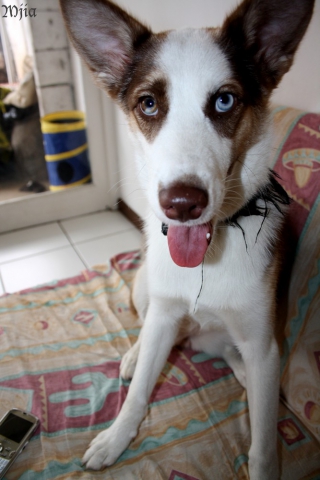 Saluuu... Moi je suis new ici je vous embrasse toutes et tous amuser vous bien :) - photo 3