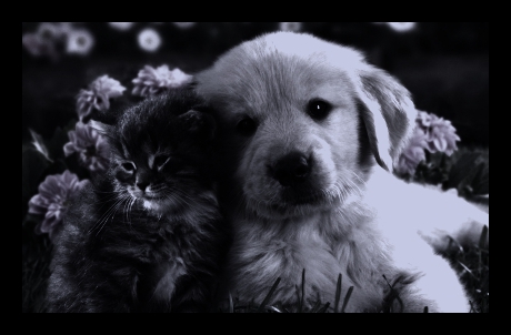 une bonne annee bisou - photo 2