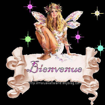 bienvenue sur mon blog