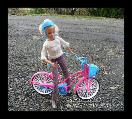 suite de ma passion - photo 2