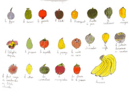 les fruits - photo 2