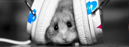 Le Blog De Wendy - photo 3