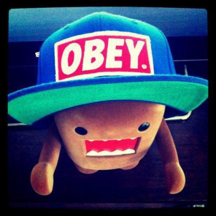 Domo Obey.