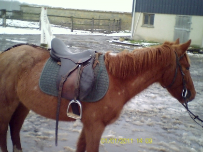 Nous deux c'est pour la vie - photo 2