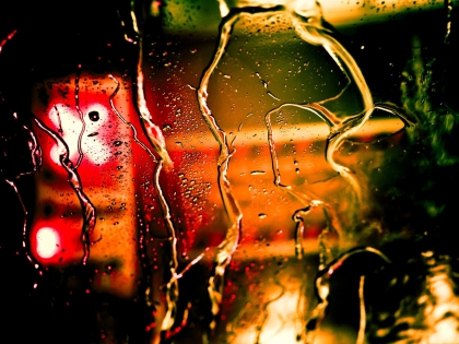 photo belle - photo 2