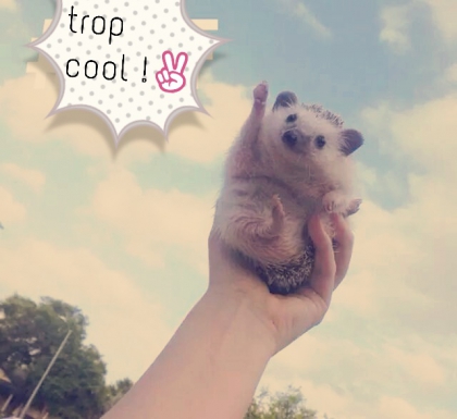 les vacances c'est comment ?✌ - photo 2