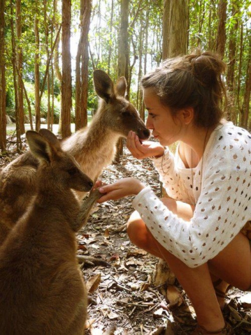 {Concours} ~~Swaag~~ - photo 2