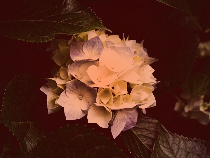 0000______ - photo 2