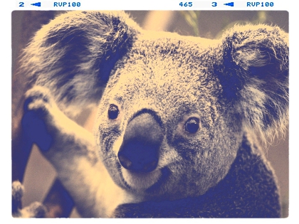 0000______ - photo 3