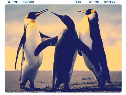 observer bien - photo 2