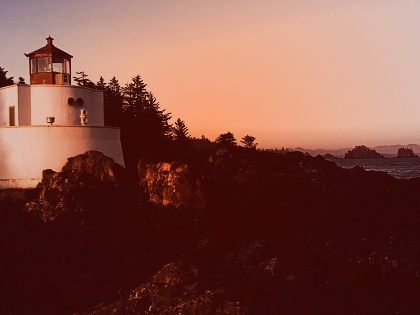 observer bien - photo 3