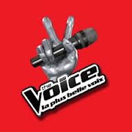          The voice les auditions continuent !! - photo 2