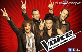          The voice les auditions continuent !!