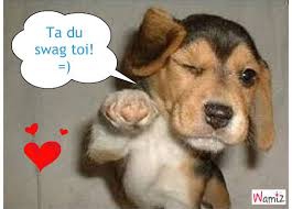 Trop chou  - photo 2