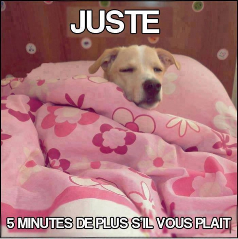 encore des images chou - photo 2