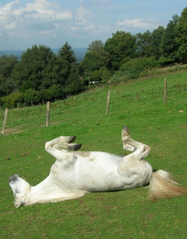 Tu T'amuses Harmonie? :3 