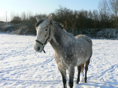 Beauty Aime Moins La Neige Qu'Harmonie. :p