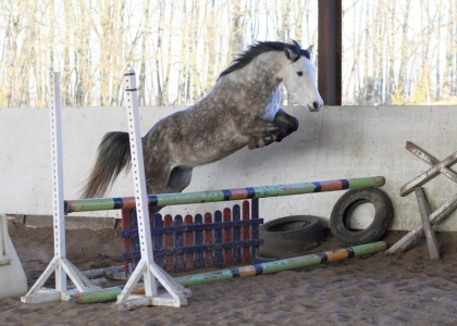 Pr�sentation. :) - photo 2