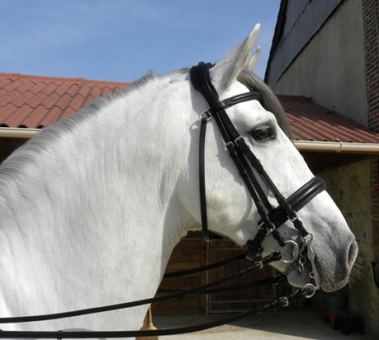 Affaires d'Harmonie. :) - photo 2