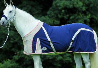 Affaires d'Harmonie. :) - photo 3