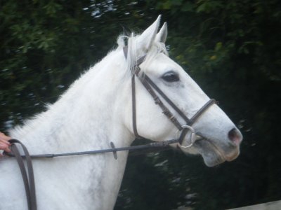 Harmonie Ballade d'Hier. :)