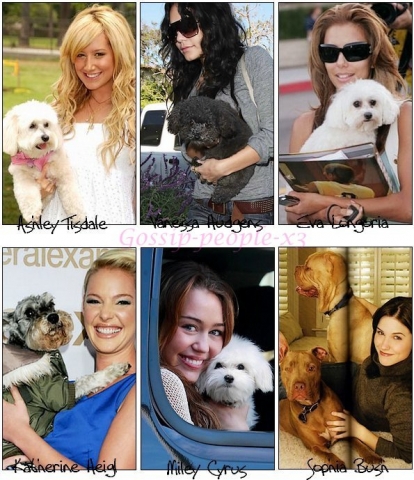 les stars & leurs chiens