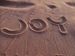 La joie, la joie, la joie. Et... Peut-�tre un peu de Bonheur. *-*