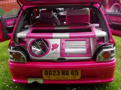 les voiture et les animaux