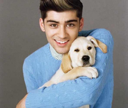 Zayn mon choucou - photo 3
