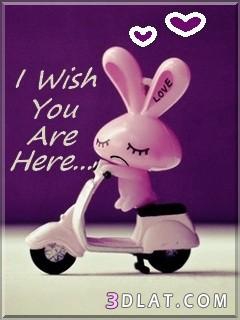 anniversaire. - photo 2