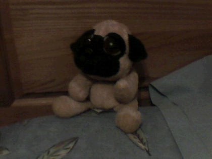 Quel est mon plus beau toutou a votre avis? - photo 2