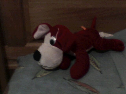 Quel est mon plus beau toutou a votre avis? - photo 3