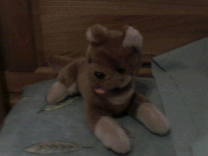 Quel est mon plus beau toutou a votre avis? ( suite ) - photo 2