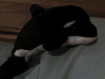 Quel est mon plus beau toutou a votre avis? ( suite ) - photo 3