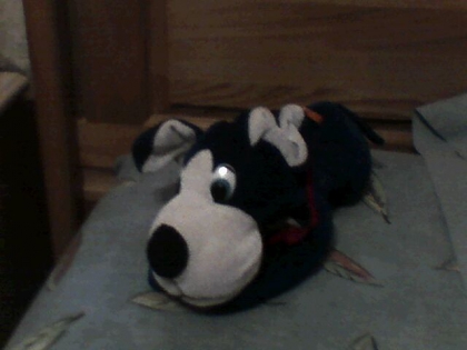 Quel est mon plus beau toutou a votre avis? ( suite )