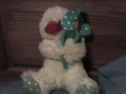 Quel est mon plus beau toutou a votre avis? ( suite 2 )