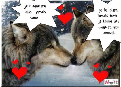 les photos que j aime - photo 2