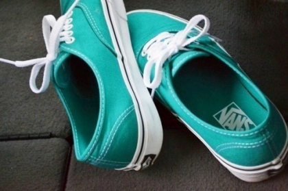 Mes Van's