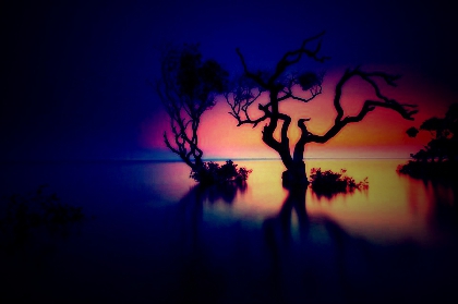 super paysage - photo 2