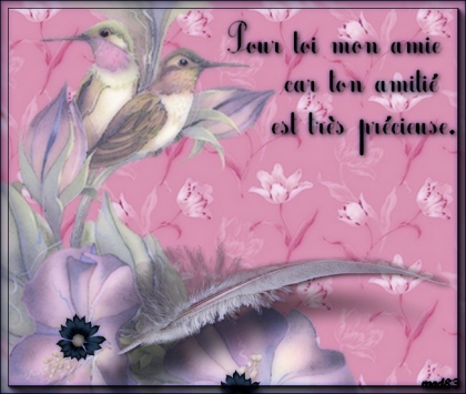 lilou je t'aime mon amie 