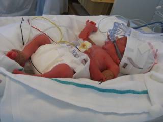 Toi mon Petit fr�re..