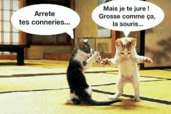 un ptit peu mdr ou tr�s mdr - photo 3