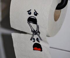 bonjour !!!! - photo 2