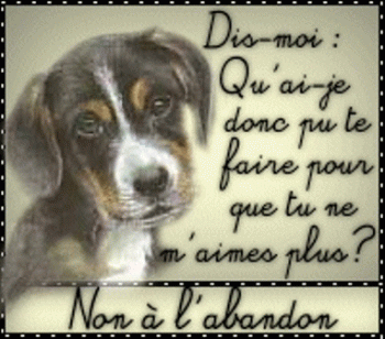 STOP A L'ABANDON DES CHIENS - photo 2