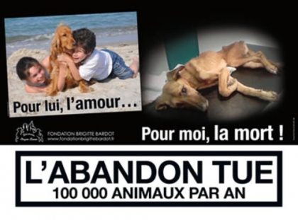 STOP A L'ABANDON DES CHIENS - photo 3
