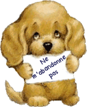 STOP A L'ABANDON DES CHIENS