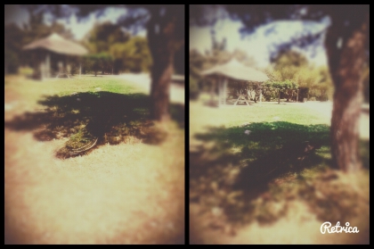 De retour! - photo 3